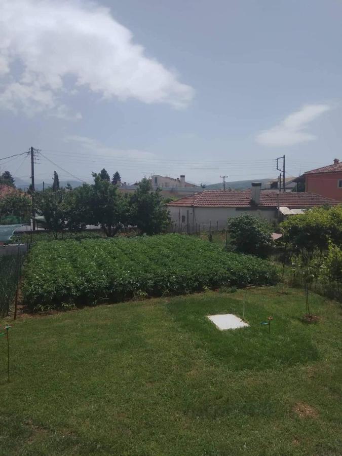 Dream House Ioannina 아파트 외부 사진